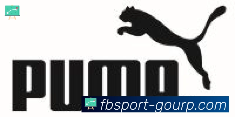 FB体育合作伙伴